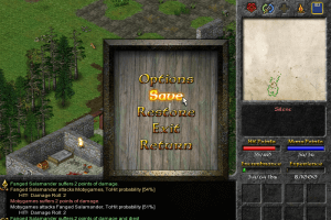 Eschalon: Book I 5
