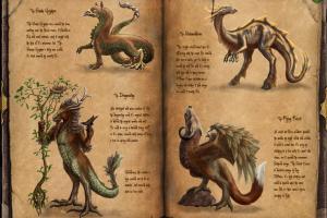 Everlight: Of Magic & Power 25