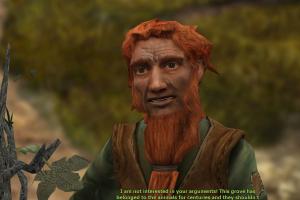 Everlight: Of Magic & Power 37