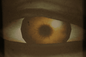 Evil Night abandonware