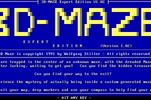 Expert Puzzles & Mazes 0