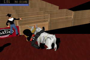 Extreme Bullrider 2