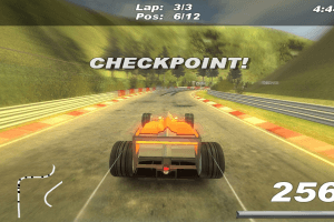F-1 Chequered Flag 0