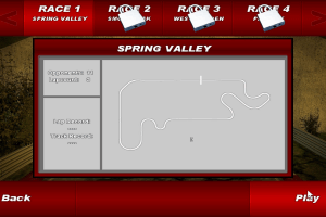 F-1 Chequered Flag 9