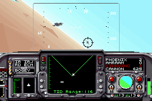 F-14 Tomcat 2