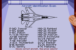 F-19 Stealth Fighter 1