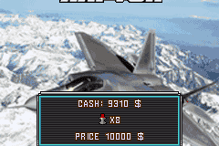 F-22 Raptor 6