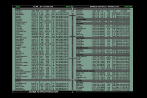 Falcon 4.0: Allied Force 27