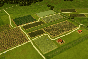 Farming Giant 1
