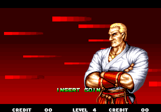 Fatal Fury Special abandonware