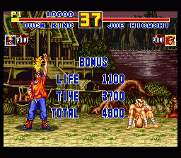 Fatal Fury Special abandonware