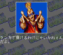 Fatal Fury Special abandonware