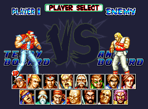 Fatal Fury Special abandonware