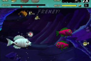 Feeding Frenzy 13