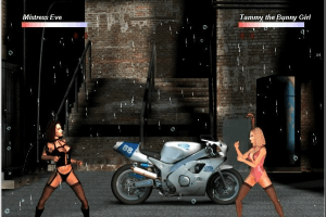 Fetish Fighters Revealed abandonware