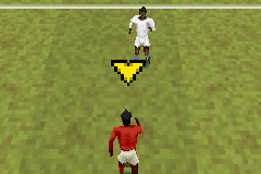 FIFA 07 3D 13