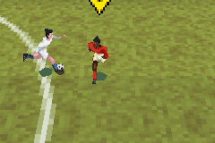 FIFA 07 3D 17
