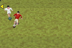FIFA 07 3D 18