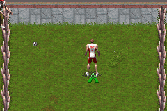 FIFA Street 3 4