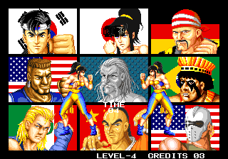 Fight Fever abandonware
