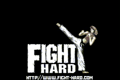 Fight Hard 3D 0