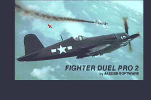 Fighter Duel Pro 2 abandonware