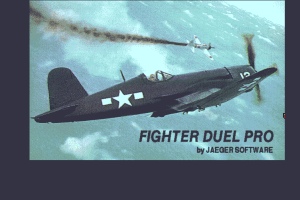 Fighter Duel Pro abandonware