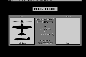 Fighter Duel Pro 0