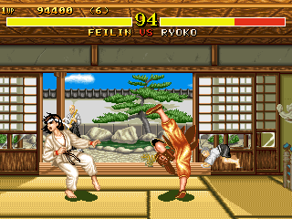 Fighter's History abandonware
