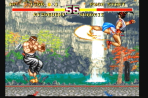 Fighter's History Dynamite 8