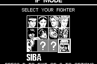 Fighters Megamix 34