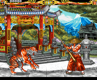 Fightin' Spirit abandonware