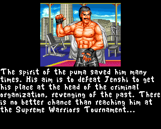 Fightin' Spirit abandonware