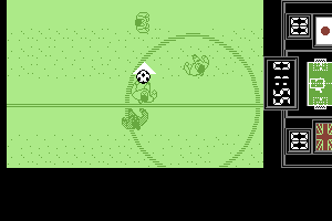 Fighting Soccer abandonware