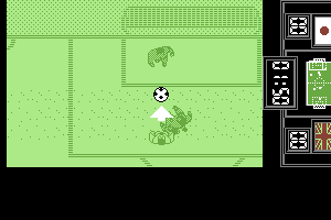 Fighting Soccer 3