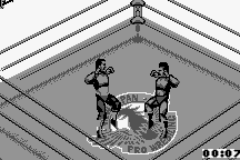 Fire Pro Wrestling 12
