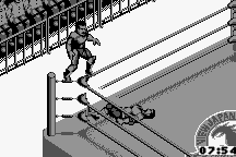 Fire Pro Wrestling 18