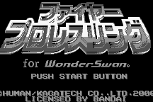 Fire Pro Wrestling 1