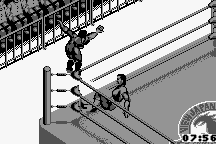 Fire Pro Wrestling 19