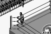 Fire Pro Wrestling 20