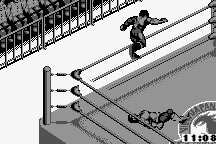 Fire Pro Wrestling 21