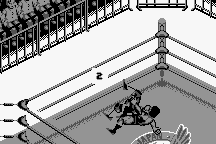 Fire Pro Wrestling 23