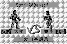 Fire Pro Wrestling 3