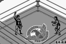 Fire Pro Wrestling 4