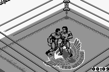 Fire Pro Wrestling 5