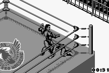 Fire Pro Wrestling 6