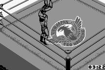 Fire Pro Wrestling 8