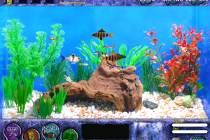 Fish Tycoon 10