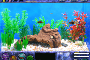 Fish Tycoon 7