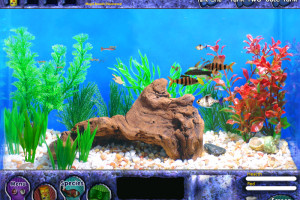 Fish Tycoon 8